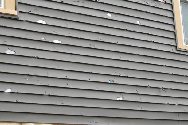 Best Steel Siding Installation  in Three Lakes, FL